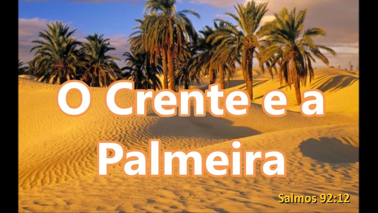 Crente E A Palmeira Letra - RETOEDU