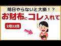 【奇跡の一日】2月22日に絶対やって！天使からの奇跡を逃さない「5つの開運行動」