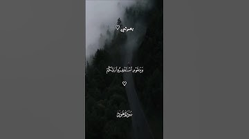 #قرآن #تلاوة_خاشعة #تلاوات #اكسبلور #حالات_واتس #راحة_نفسية #quran #fyp #viral #explore #foryou #1k