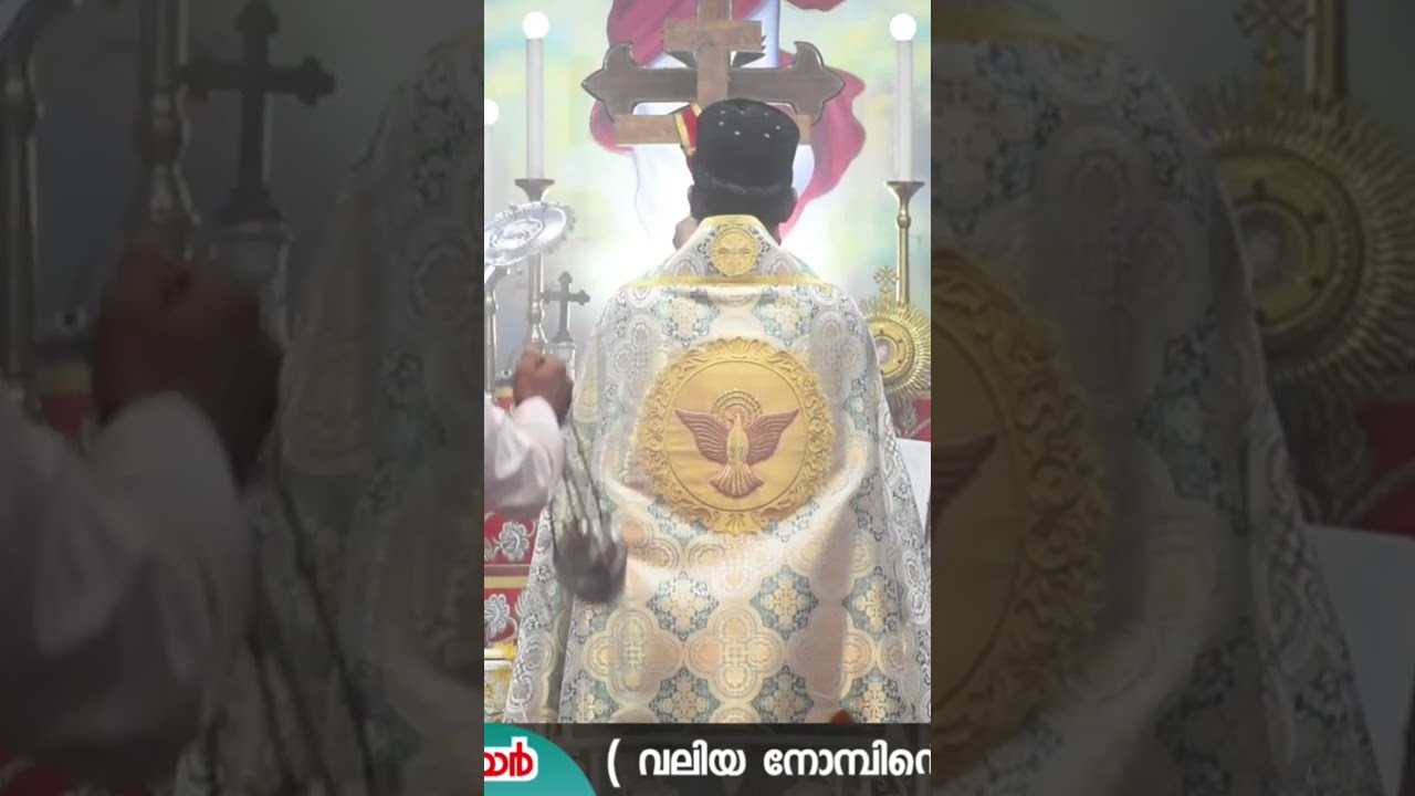 Воскресенье Котина | Полное видео 👆 Смотреть, нажав кнопку ▶️ | Преподобный отец Матай Захария | ...