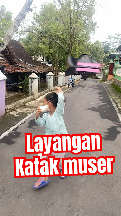 Layangan Katak muser #dj #dangdut #2025 #pantai #senang #lucu #viralvideo #trandingshorts #layangan