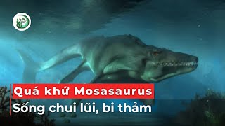 Quá khứ bi thảm của Thằn lằn biển Mosasaurus trước khi trở thành KẺ THỐNG TRỊ ĐẠI DƯƠNG