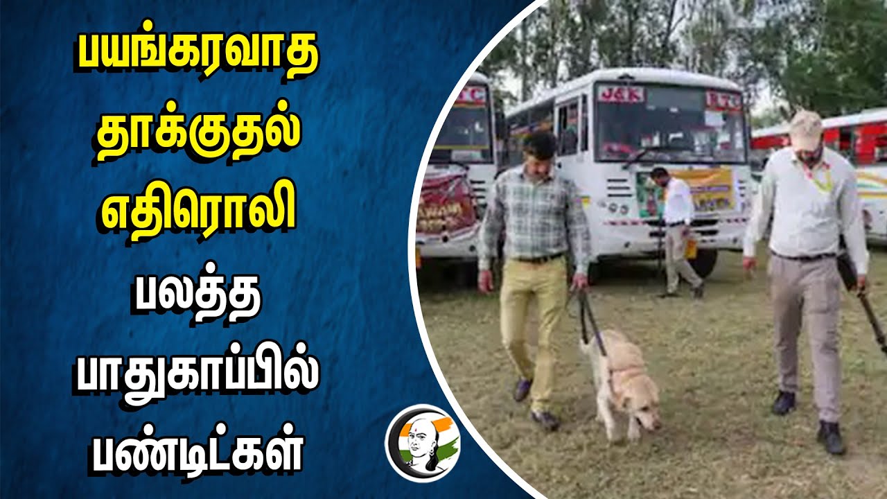பயங்கரவாத தாக்குதல் எதிரொலி.. பலத்த பாதுகாப்பில் Pandits | Jammu Kashmir