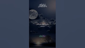 #سورة_آل_عمران #القرآن_الكريم #المصحف #تلاوات_خاشعة #حالات_واتس