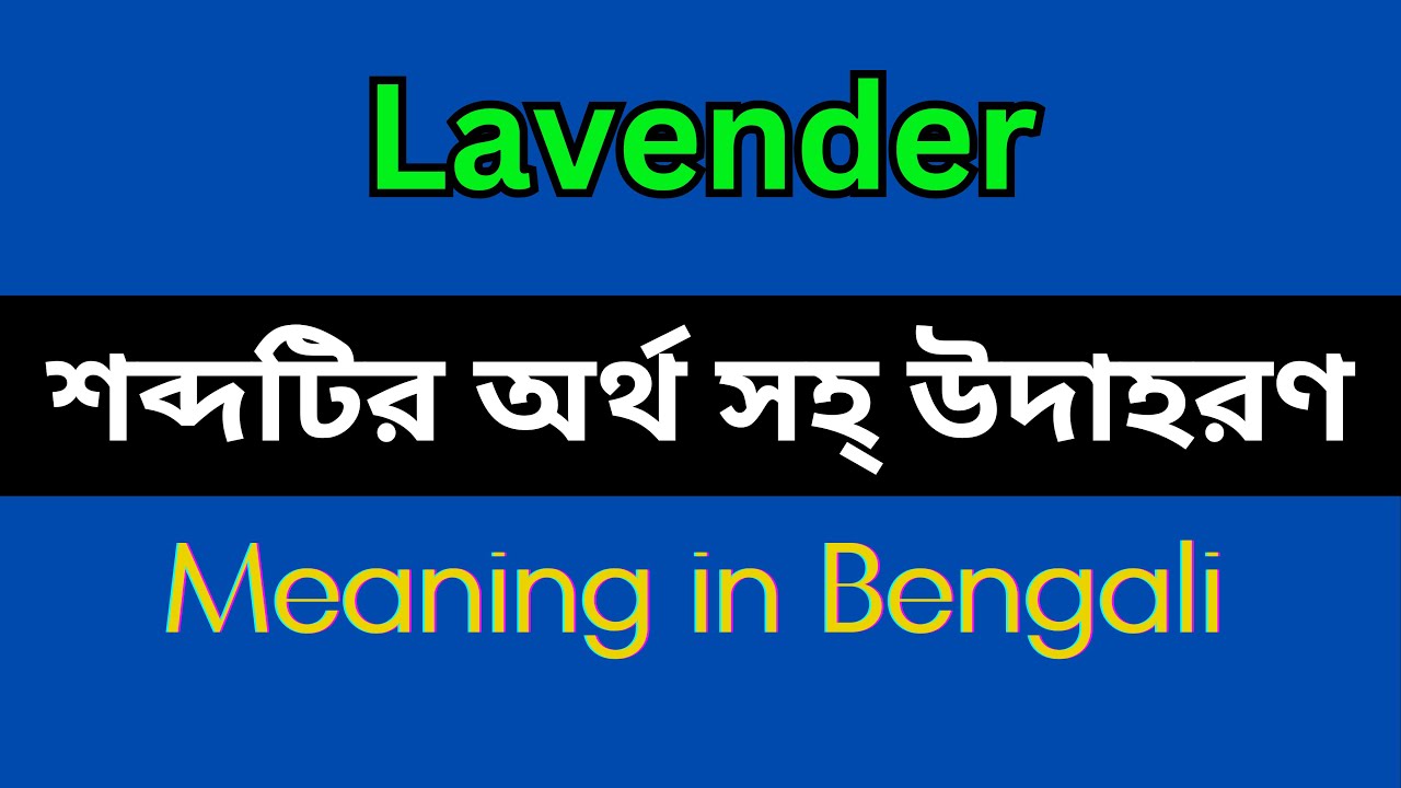 Lavender Meaning in Bengali/Lavender Mane Ki, Lavender Explain in Bengali