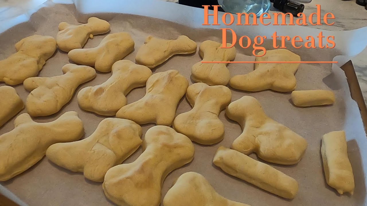 20-minute-homemade-dog-treats-diydogtreats-livingstoncountry-fyp