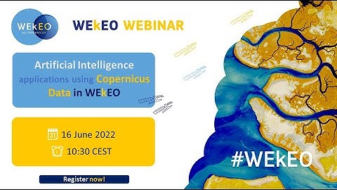 ARTIFICIAL INTELLIGENCE APPLICATIONS USING COPERNICUS DATA IN WEKEO