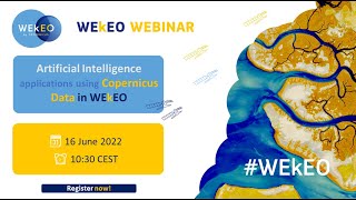 ARTIFICIAL INTELLIGENCE APPLICATIONS USING COPERNICUS DATA IN WEKEO
