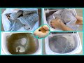 New guinea pig cage cleaning routine 🧽 portable washing machine 🧼 fleece bedding