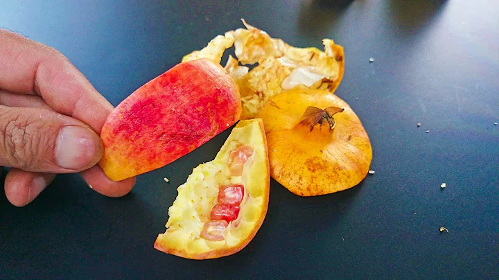 石榴皮千万别扔掉！把它煮一煮，用途太厉害了！早学会早受益，赶紧试试 - 天天要闻