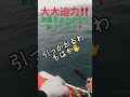 超ド級❗️鳥山まみれの中で釣りしたら‼️