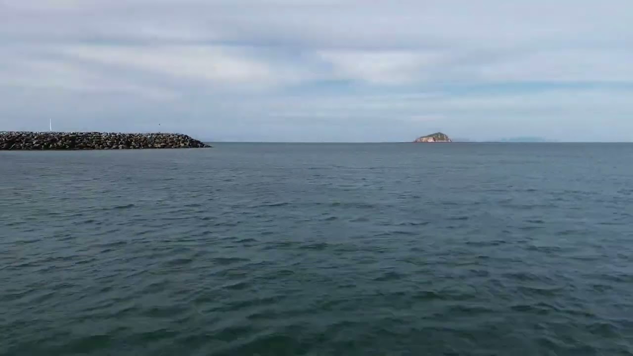 Mackay harbour 16.1.2025 fishing