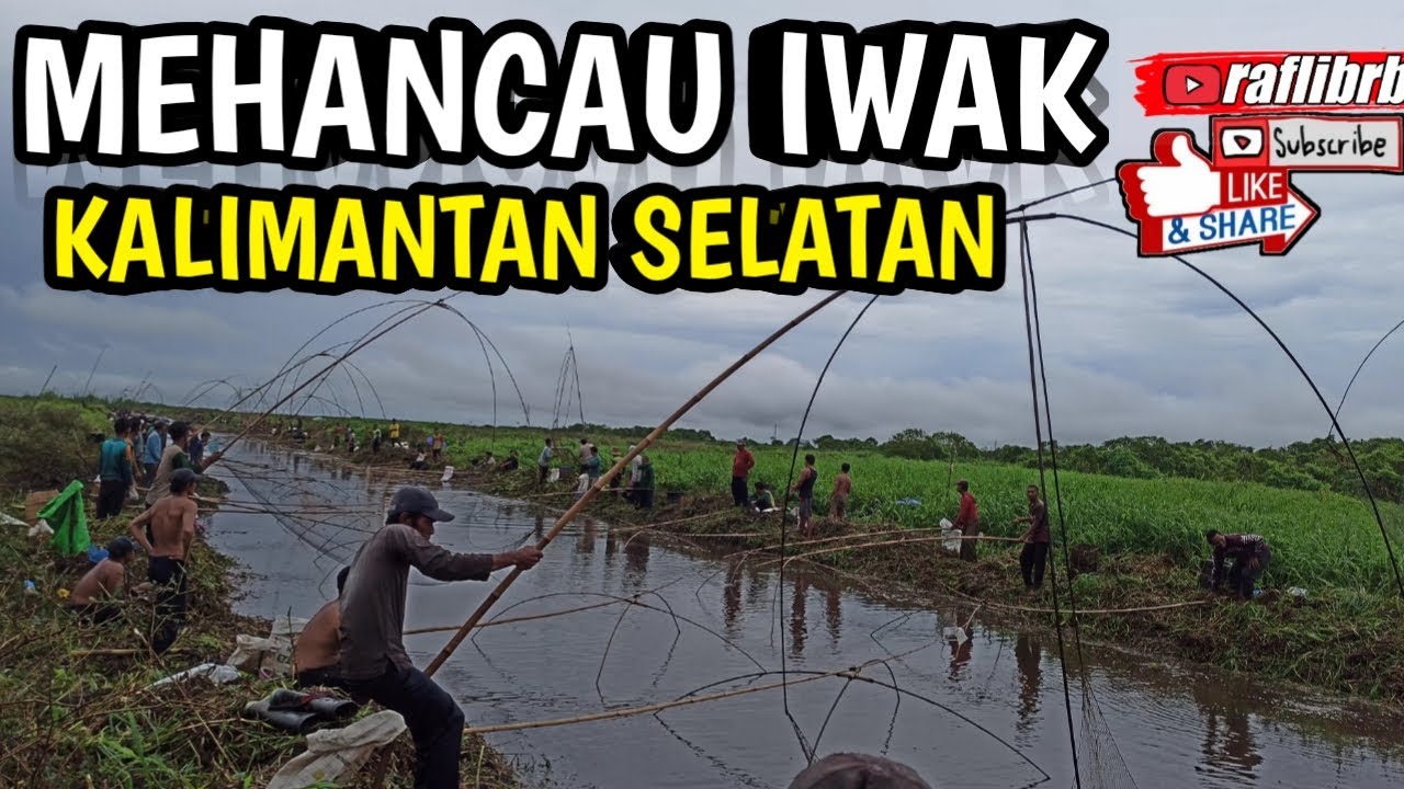 Mehancau Iwak:Desa Kambat Utara Hulu Sungai Tengah