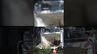 What Happened On Peggy Lane