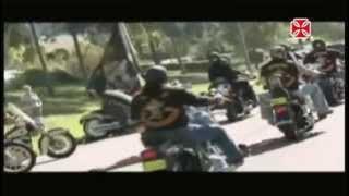 Brotherhood of Man   Motorhead