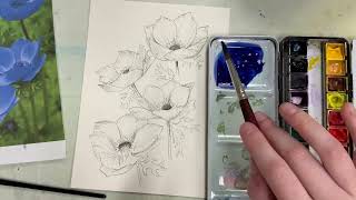 How to: Blue Anemone Flowers in watercolor and ink