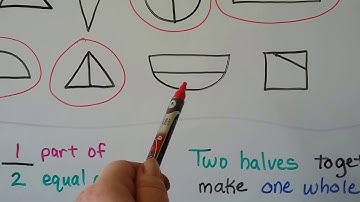 Grade 1 Math 12.9, Halves
