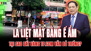 La Liệt Mặt Bằng Cho Thuê Ế Ẩm Tại Sao Đất Vàng Vẫn Bỏ Trống?