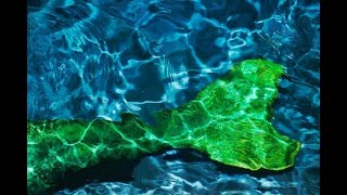 Monopalme De Sirène Professionnelle