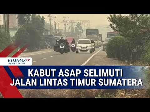 Kabut Asap Pekat Selimuti Jalan Lintas Timur Sumatera, Jarak Pandang Pengendara Terbatas