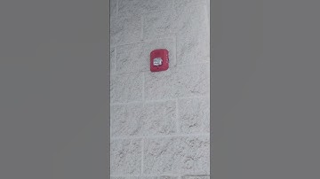 System Sensor L Series P2RL Horn Strobe