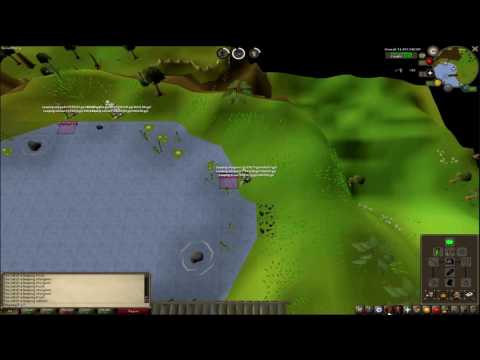 ANOTHER Runescape Video!