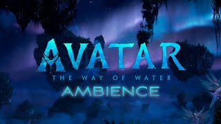 Avatar: The Way of Water | Night | Ambient Soundscape