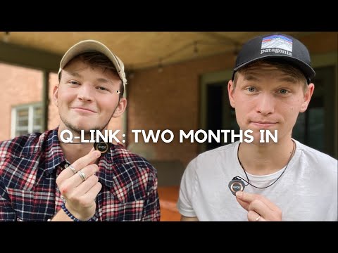 Q-Link SRT 3 - Two Months In, Were They Worth It?