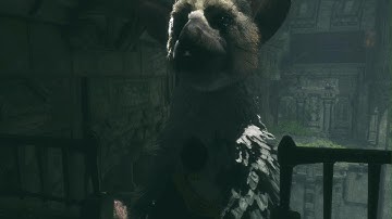 Giving Trico Commands - The Last Guardian