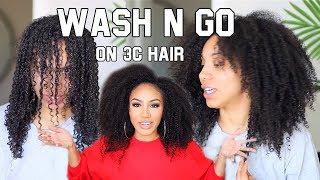 Defined Wash'n Go on Dry, Damaged, Natural Hair?! HOW SWAY!?