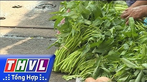 THVL | Khó quản lý an toàn thực phẩm đối với thức ăn đường phố