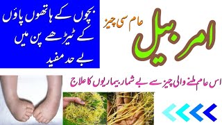 Amar Bel K Fahide. Akash Bel K Fahide. . . .