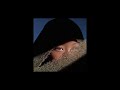 (FREE) TIF x Karmen Type Beat - "Mi Amor"