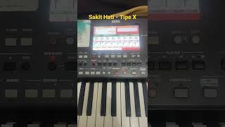 Sampling Style Pa600