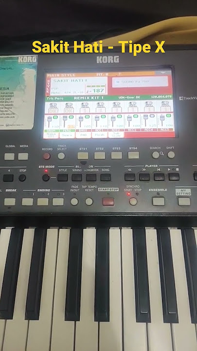 Sampling Style Pa600