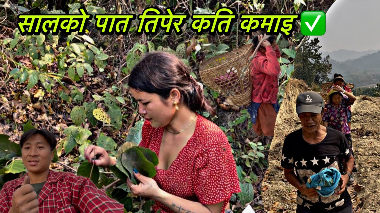 Paat becherw poisa kati kamai hunxa tw😭🤔