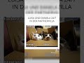 Make Love Fake Love Folge 11 ♥️ #rtl #rtlplus #tv #tvshow #fernsehen #dates #dating #meme #memes
