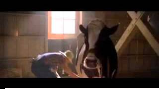 "Wes & Kenny Cowboy Up for 7-Eleven" - MTV's Kenny Santucci & Wes Bergman Cowboy