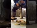 Ловля на червячка #shorts