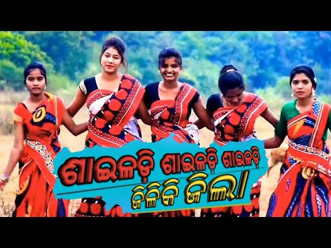 Sailodi Sailodi Sailodi Jhiliki Jhipa  Koraputia Desia Old Song Status Video 