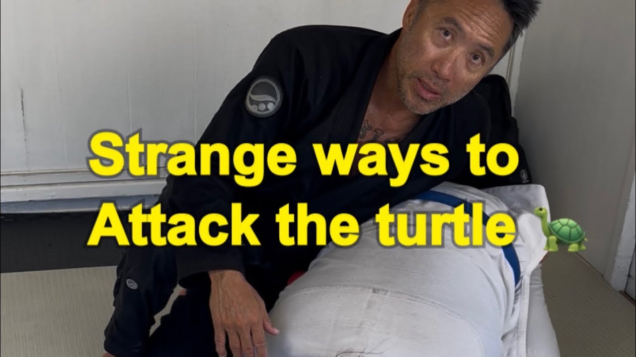 BJJ attacking the turtle 🐢 position in unique ways 🥋 MINT FLOW JIU ...