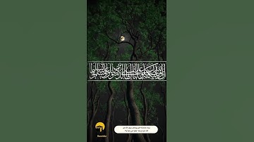 إن الله وملائكته يصلون على النبي l سورة الأحزاب l إسلام صبحي l قرآن l Qur'an