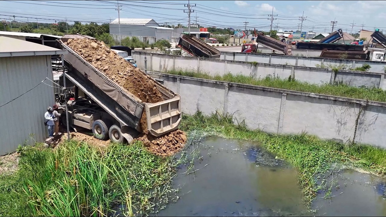 Great Job Started New Project!25-5Ton Truck Filling LandFlood Fence,Skillful Dozer D65 Pushing Soil 
