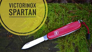 Нож Victorinox Spartan. Тест/ testing