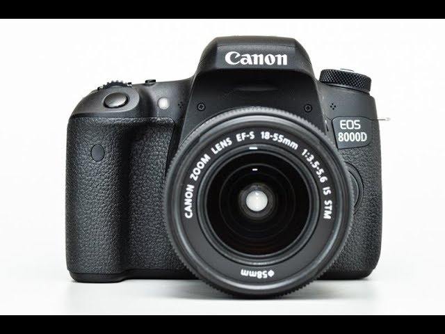Canon 760D/8000D/Rebel T6S After a year Review