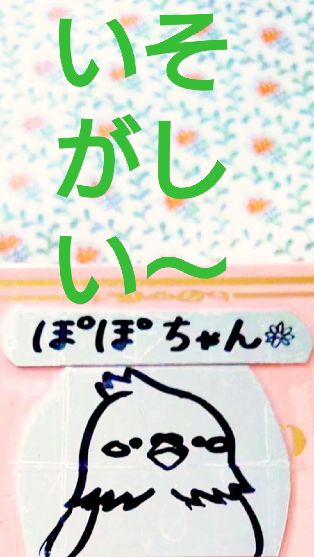 昨日のぽぽちゃんは忙しい‼️ - YouTube