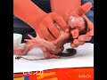 生後間も無い捨て子を保護したボランティアさん