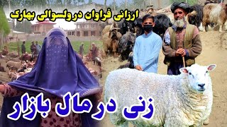 گزارش تمیم، تغیرات قیمت مواشی در بهارک، حضور یک زن در مال بازار- Badakhshan Faizabad