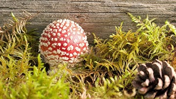 Byterapers 30 years anniversary party photogasm competition pictures - Demoscene