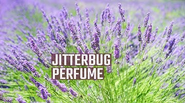 Jitterbug Perfume